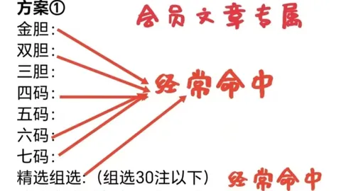 【彩研达人秀】双色球第2026016期独家红蓝神杀秘籍，精选心水号码，不容错过！