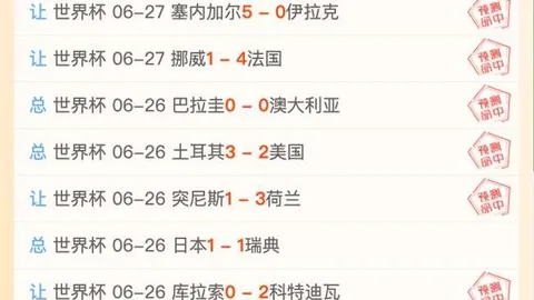 鸡锅世界杯独家：14场激战，11胜荣耀盘点